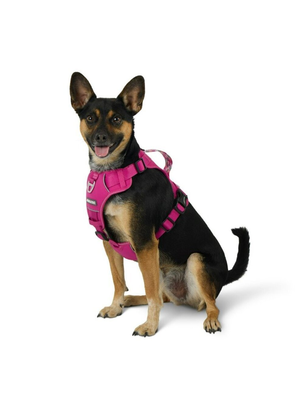Acadia Trail Dog Harness Size XXL Pink Neoprene Padded